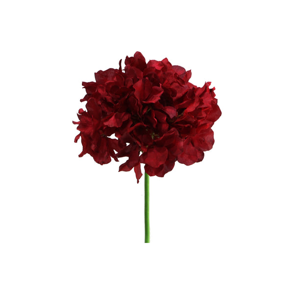 Hortensia 8 Colours