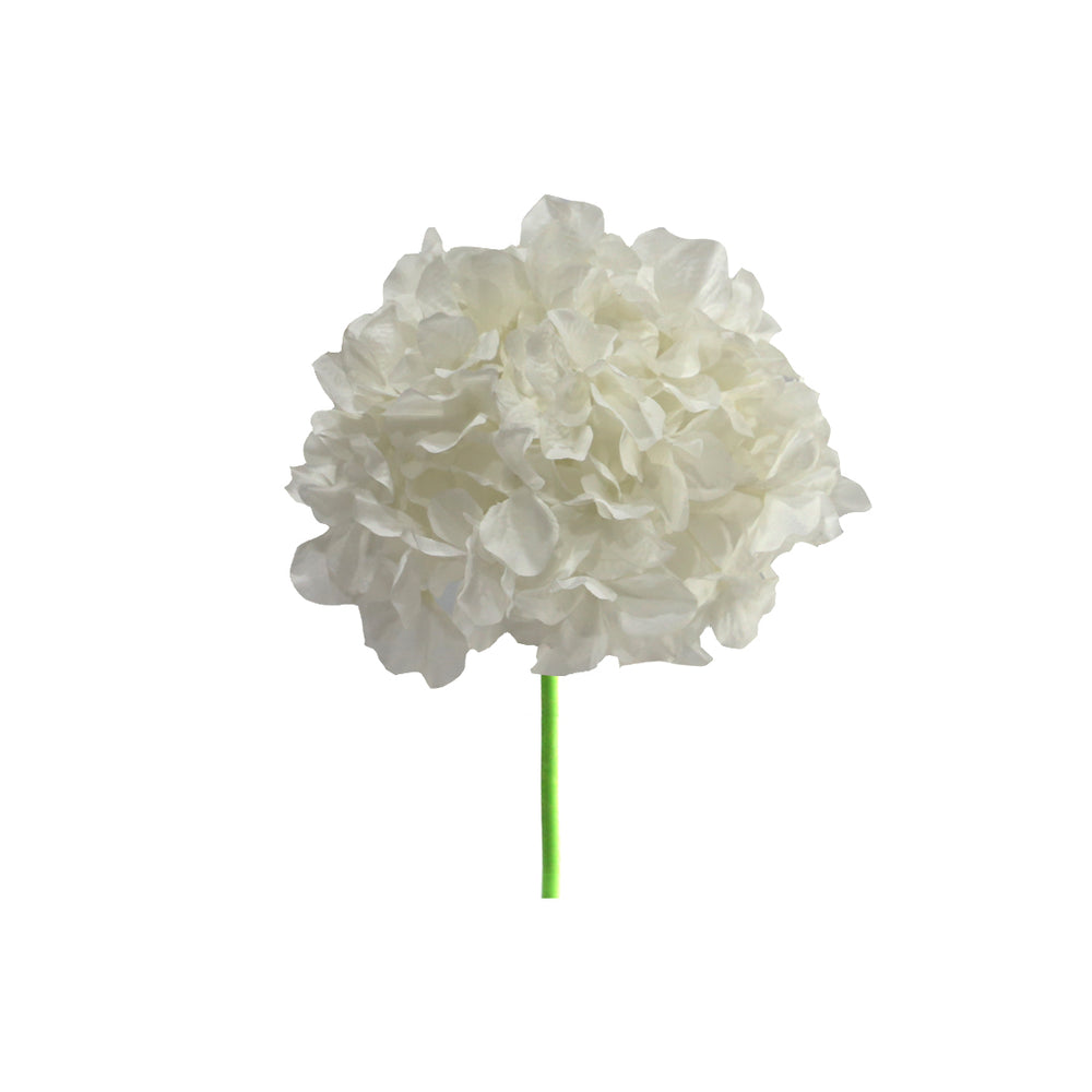 Hortensia 8 Colours