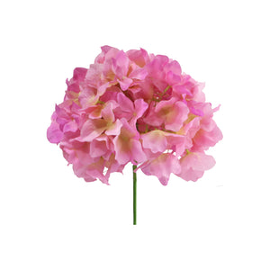 Hortensia 8 Colours