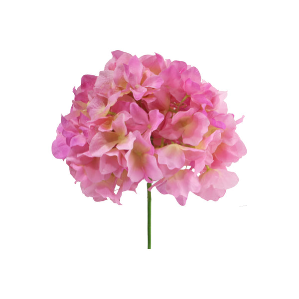 Hortensia 8 Colours