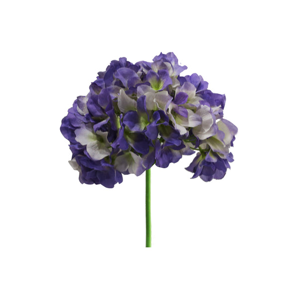 Hortensia 8 Colours
