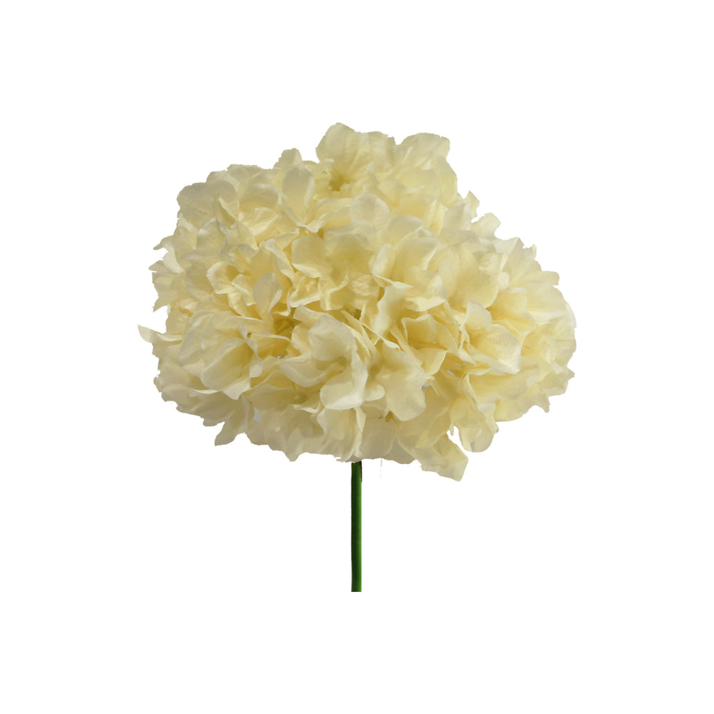 Hortensia 8 Colours