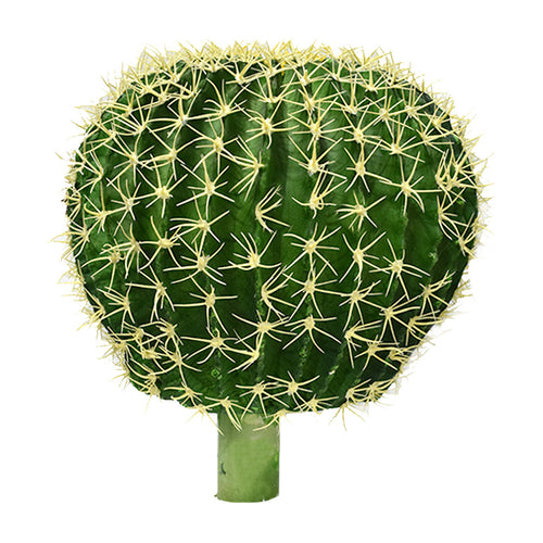Extra Large Ball Cactus