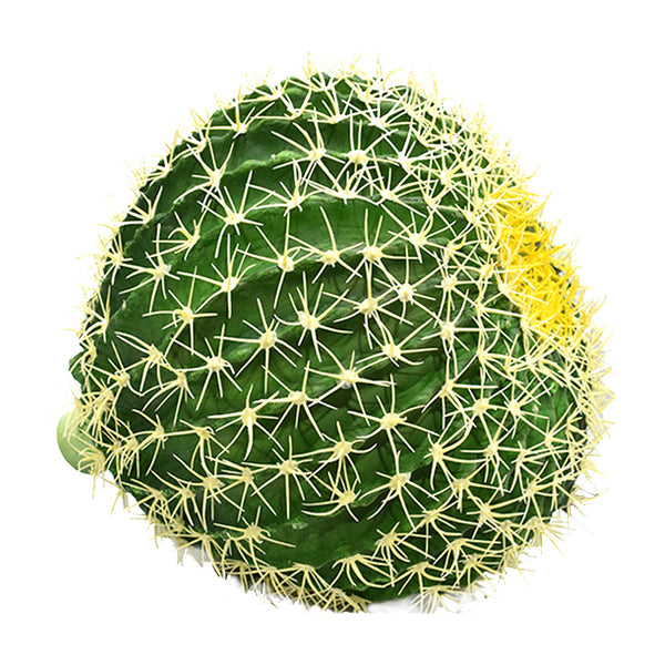 Extra Large Ball Cactus