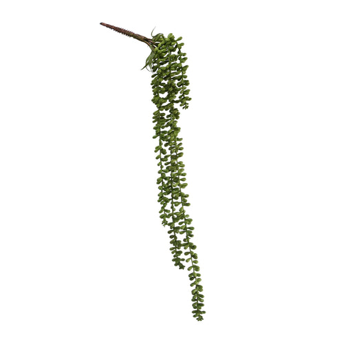 Green Cluster