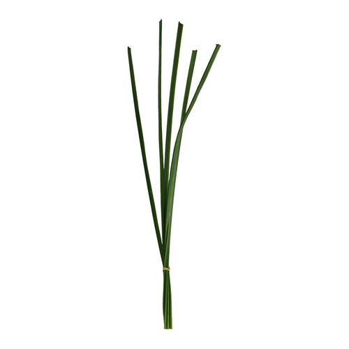 Steel Grass