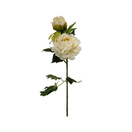 Rustic Peony 3 Colours