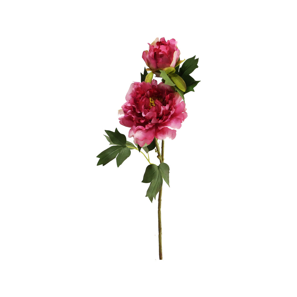 Rustic Peony 3 Colours