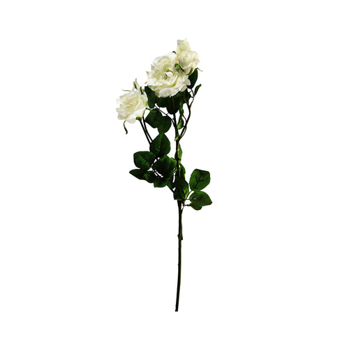 English Rose