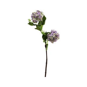 Viburnum Available In 3 Colours