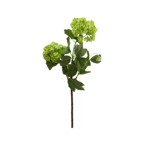 Viburnum Available In 3 Colours