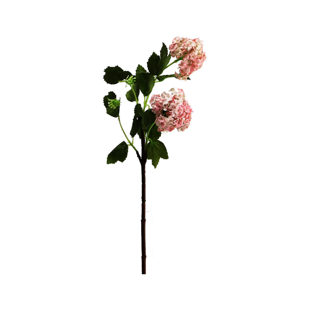 Viburnum Available In 3 Colours