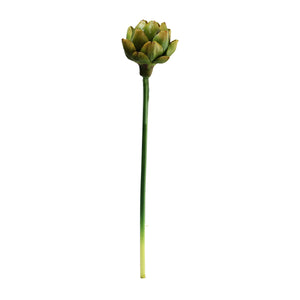 Artichoke Flower 2 Colours - Each At