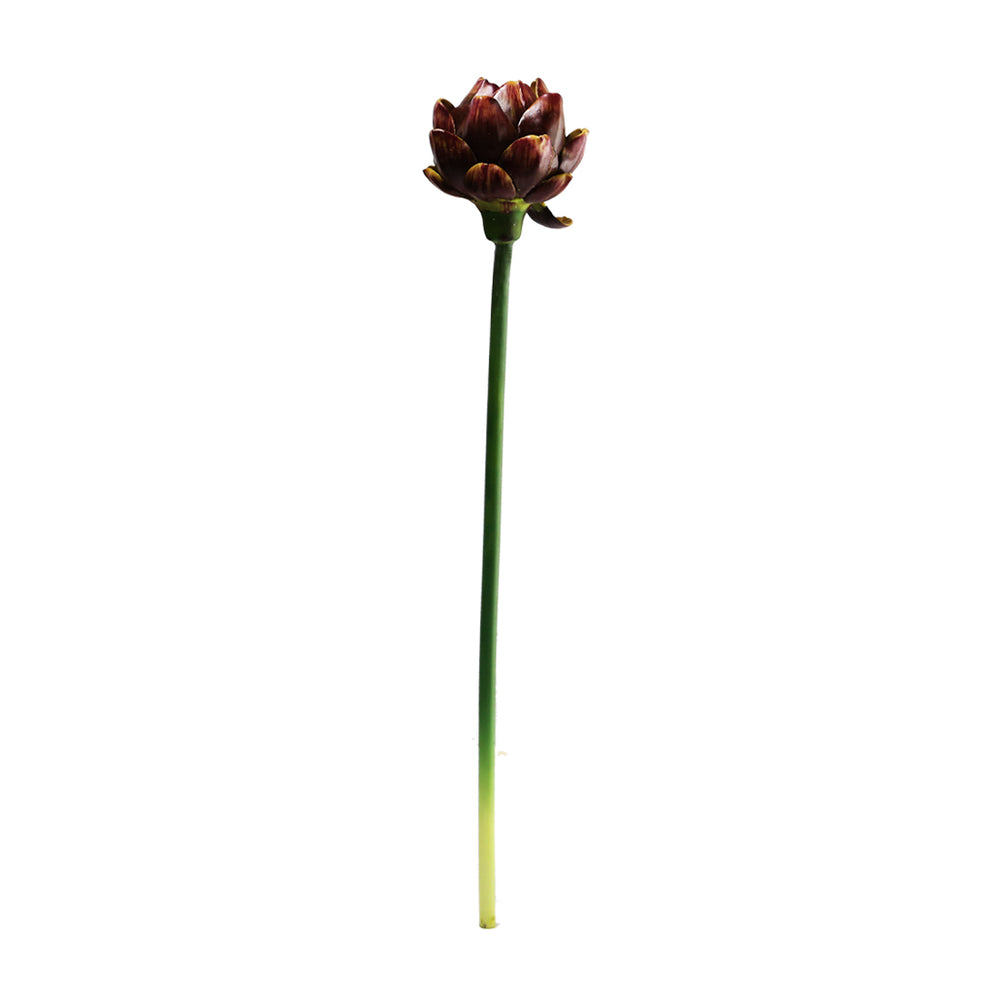 Artichoke Flower 2 Colours - Each At