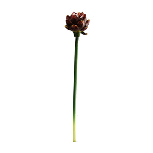 Artichoke Flower 2 Colours - Each At