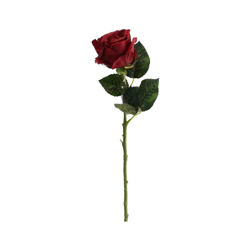 Red Rose