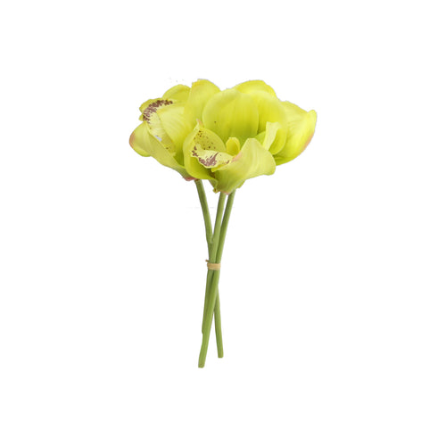 Small Cymbidium 3 Colours - Each At