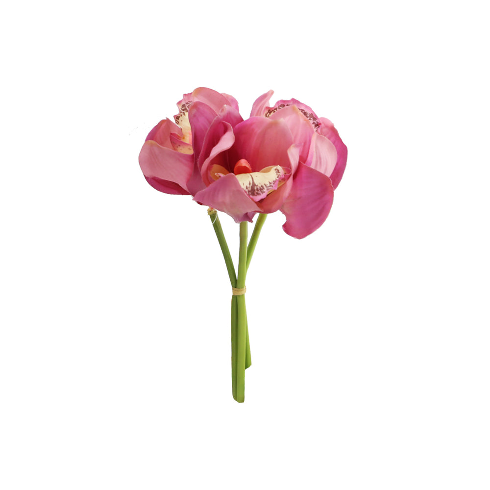 Small Cymbidium 3 Colours - Each At