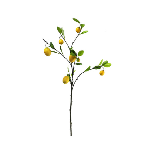 Lemon Branch