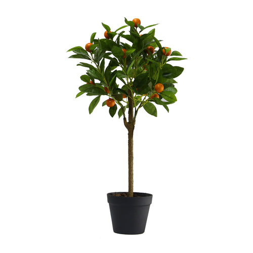 Small Orange