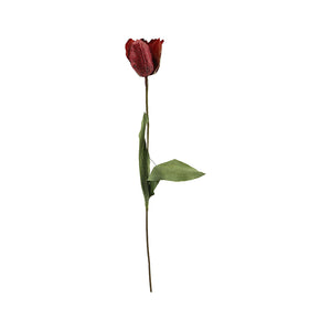 French Tulip (71cm)