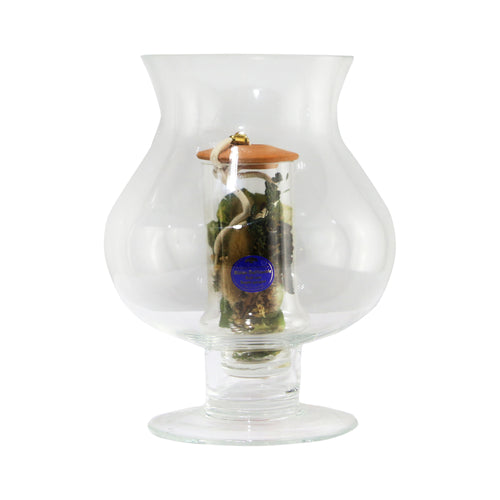 Aroma Glass Lamp M