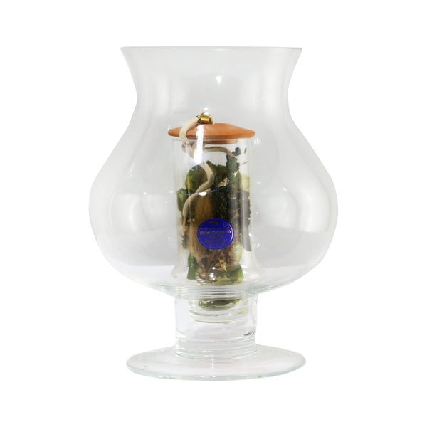 Aroma Glass Lamp M