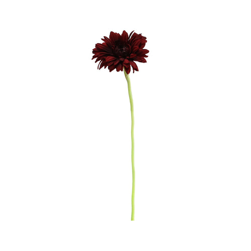 Red Gerbera (60 cm)