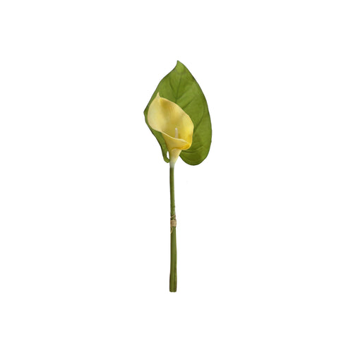 Calla Lily Pick