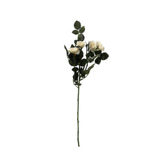 Rose Spray x5