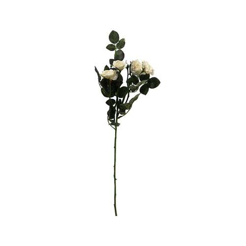 Rose Spray x5