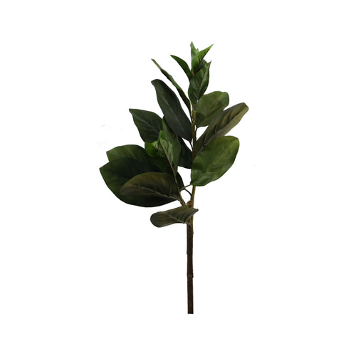 Magnolia Leaf Spray x2