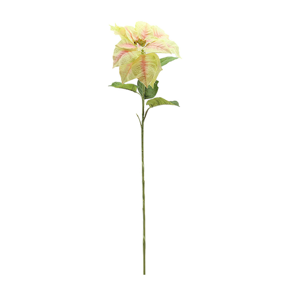 Poinsettia (75cm)