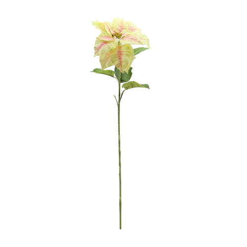 Poinsettia (75cm)