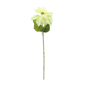 Poinsettia (75cm)