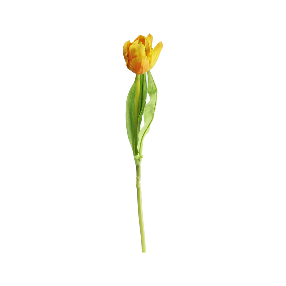 Tulip (47 cm)