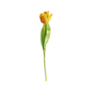 Tulip (47 cm)