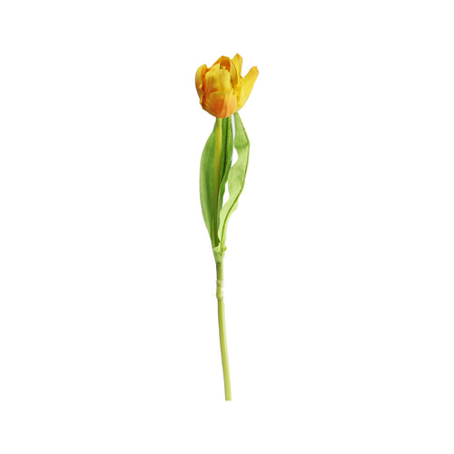 Tulip (47 cm)