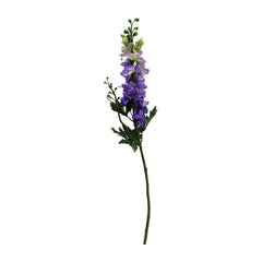 Delphinium
