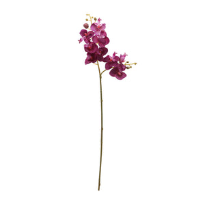 Purple Phalaenopsis (53 cm)