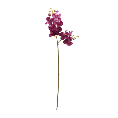 Purple Phalaenopsis (53 cm)