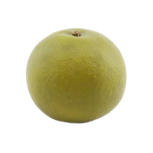 Grapefruit d11cm