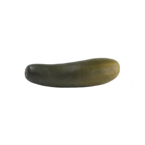 concombre