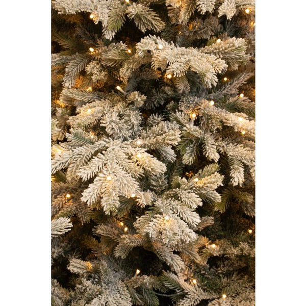 Forest Green Grimshaw Christmas Tree with LEDs (215cm)