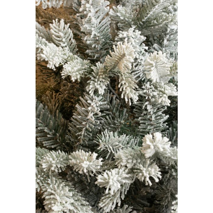 Green Frosted Tips Grimshaw Christmas Tree (185cm)
