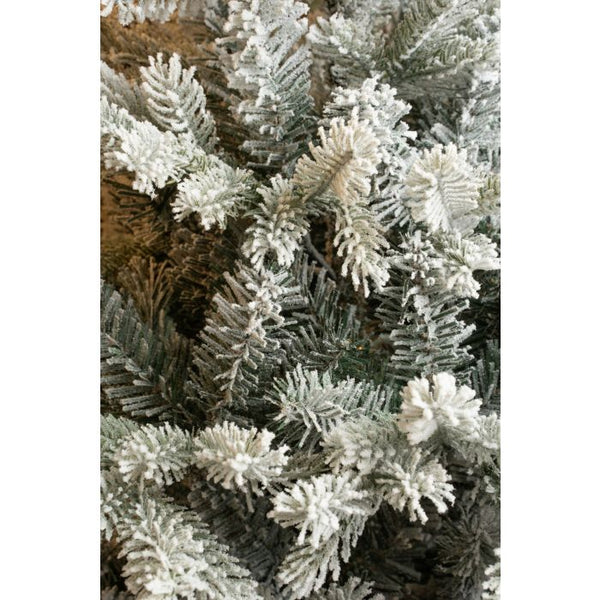 Green Frosted Tips Grimshaw Christmas Tree (185cm)