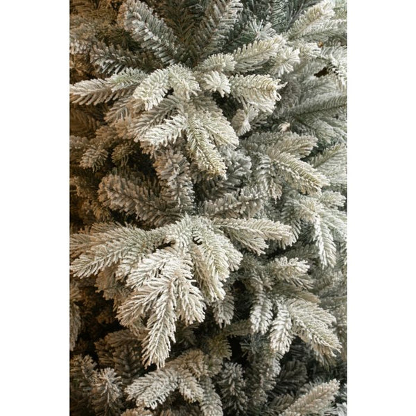 Green Frosted Grimshaw Christmas Tree (215cm)