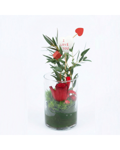Small Valentine Cylinder With Aspidistra