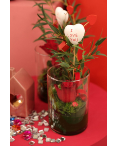 Small Valentine Cylinder With Aspidistra