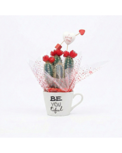 Valentine Tea Cup Cactus